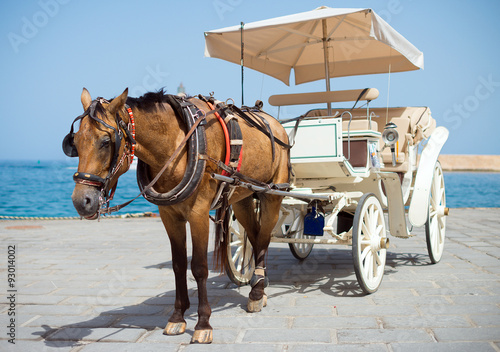 Horse and vintage carriage on the pier near the sea.