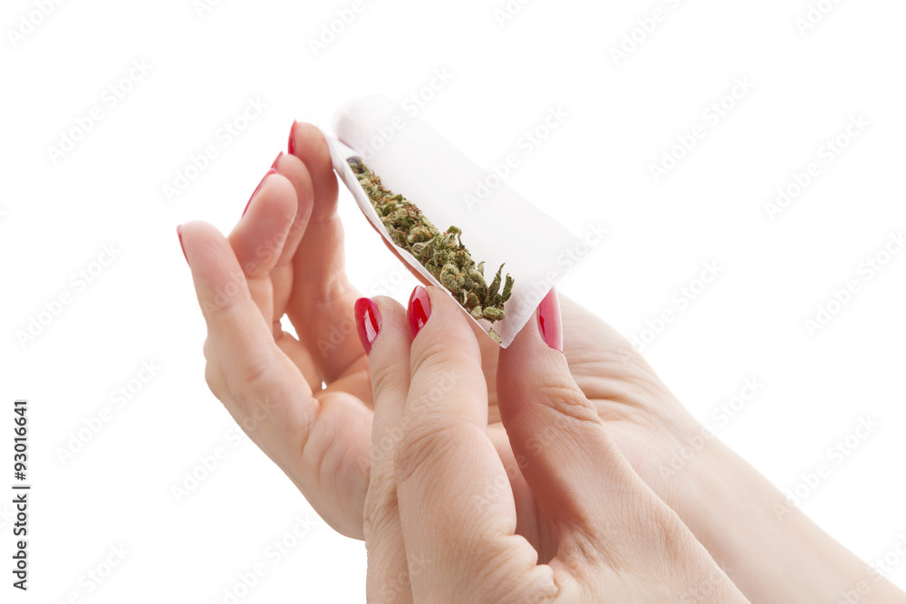 Fototapeta premium Preparing a cannabis joint.