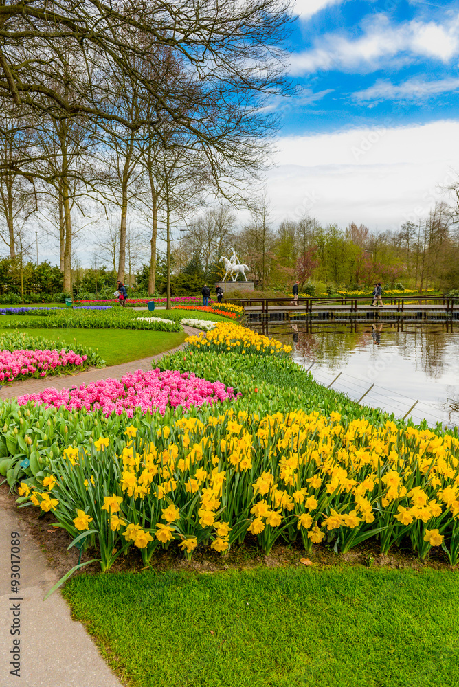 Obraz premium Amsterdam flowers
