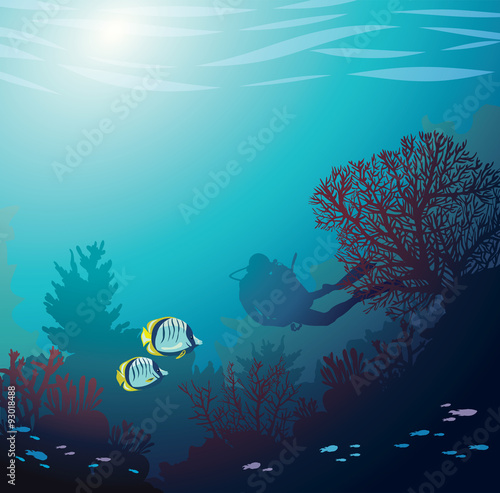 Underwater - coral reef and diver.