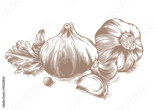 Garlic