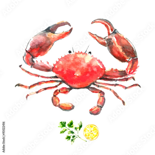 Watercolor crab.