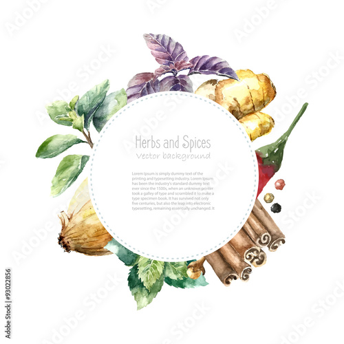 Watercolor collection of fresh herbs and spices isolated.