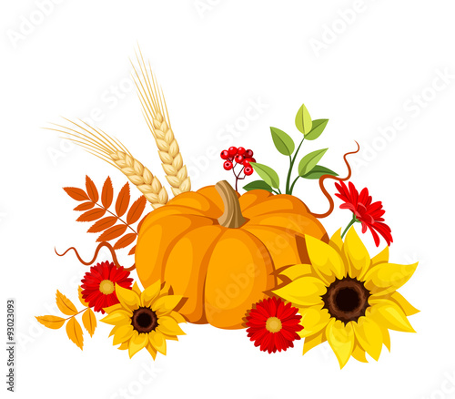 Autumn pumpkin and flowers. Vector illustration.