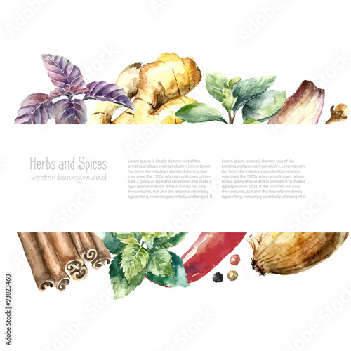Watercolor collection of fresh herbs and spices isolated.