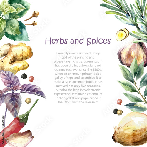 Watercolor collection of fresh herbs and spices isolated.