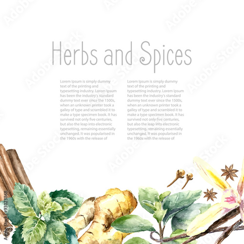 Watercolor collection of fresh herbs and spices isolated.