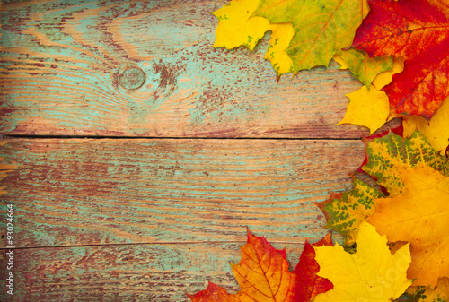 Autumn leaves over wooden background