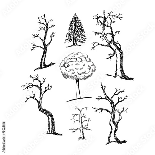 hand-drawing, a set of trees, old and dry tree, a tree with
