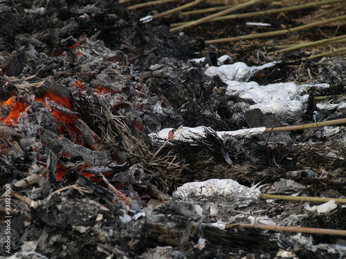 Wallpaper Mural 焼き団子 Torontodigital.ca