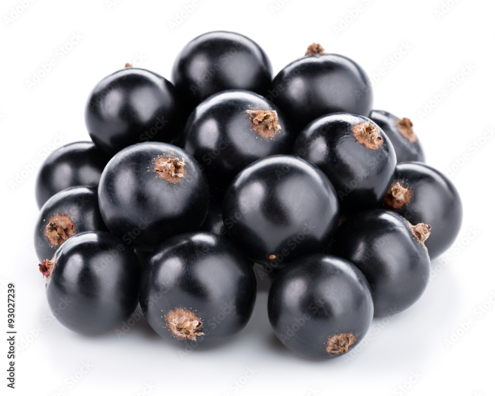 currants currants