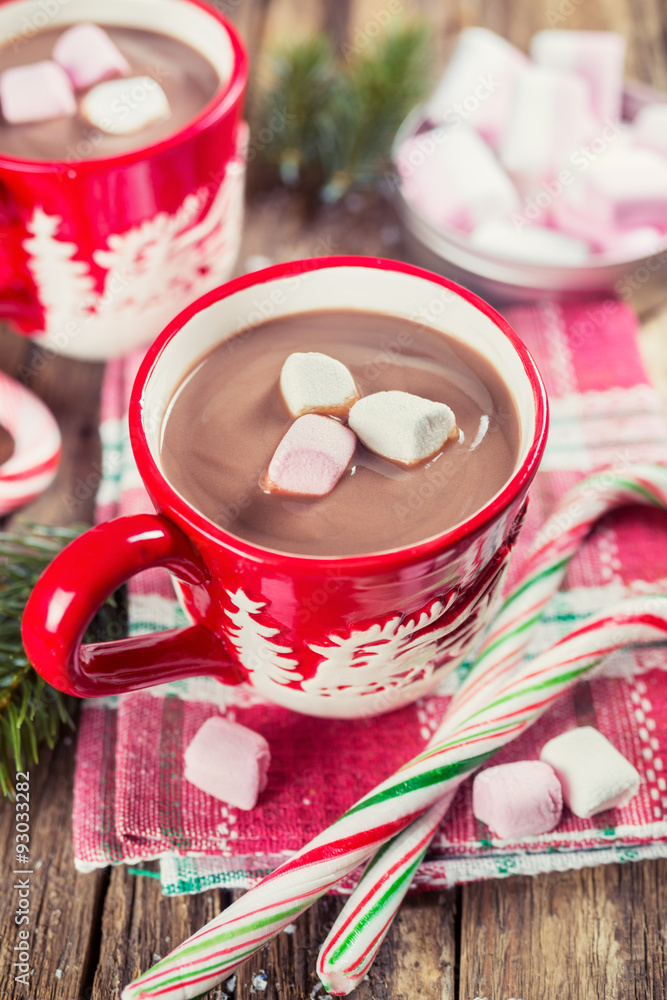 Delicious cocoa with marshmallows Delicious cocoa with marshmallows