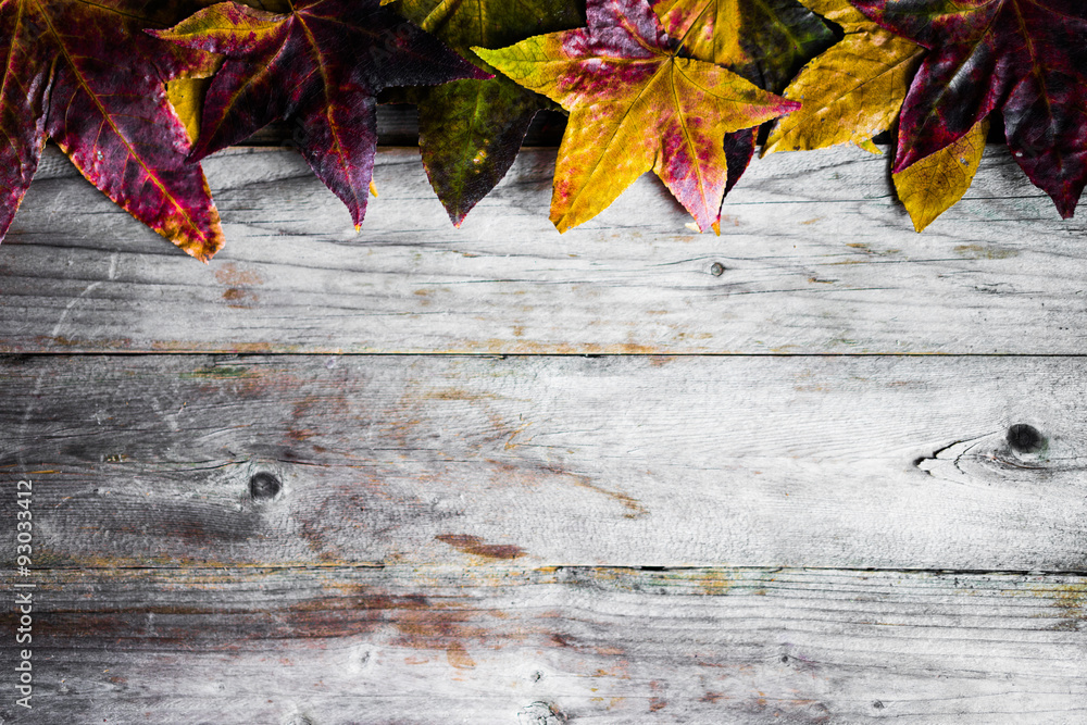 Obraz premium Autumn colorful leaves on rustic wooden background