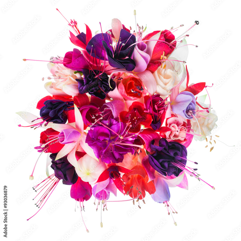 bouquet of colorful fuchsia flowers is isolated on white backgro - obrazy, fototapety, plakaty 