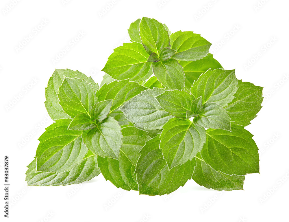 Mint leaves Mint leaves