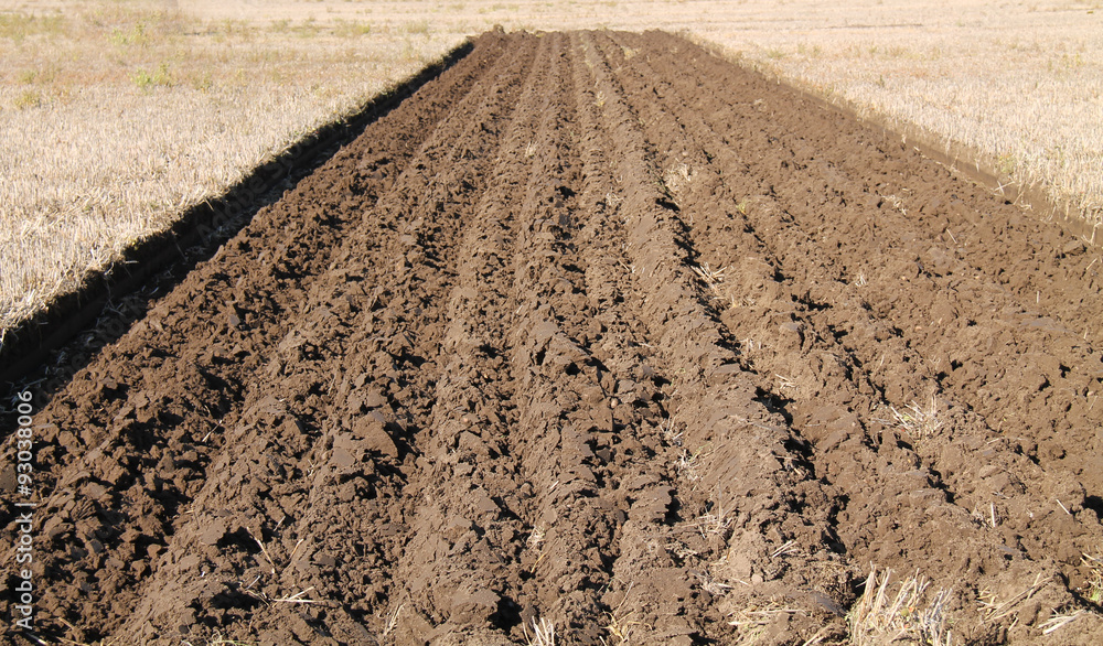 The Recently Ploughed Furrows of a Farming Field. The Recently Ploughed Furrows of a Farming Field.