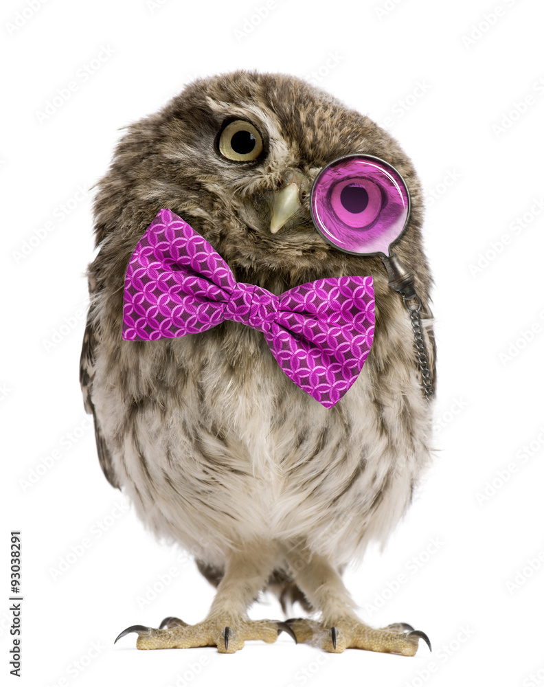 Obraz premium Little Owl wearing magnifying glass and a bow tie