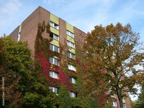 Fassadenbegrünung und buntes Herbstlaub im Herbst an einem Hochhaus in der Weststadt in Gießen an der Lahn in Hessen photo