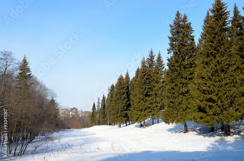 Path in winter forest, spruce,sky,snow