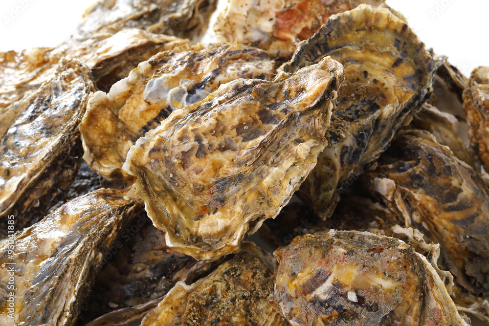 牡蠣 Oyster 牡蠣 Oyster