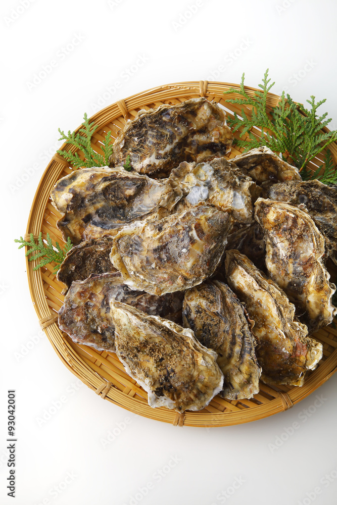 牡蠣 Oyster 牡蠣 Oyster