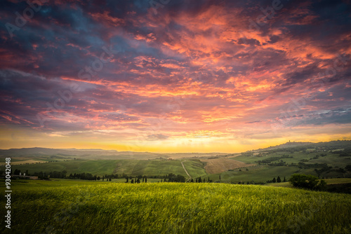 summer landscape of Tuscany  Italy.