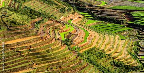 Rice fields on terraced of Mu Cang Chai, YenBai, Vietnam. photo