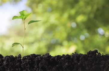 Earth day.