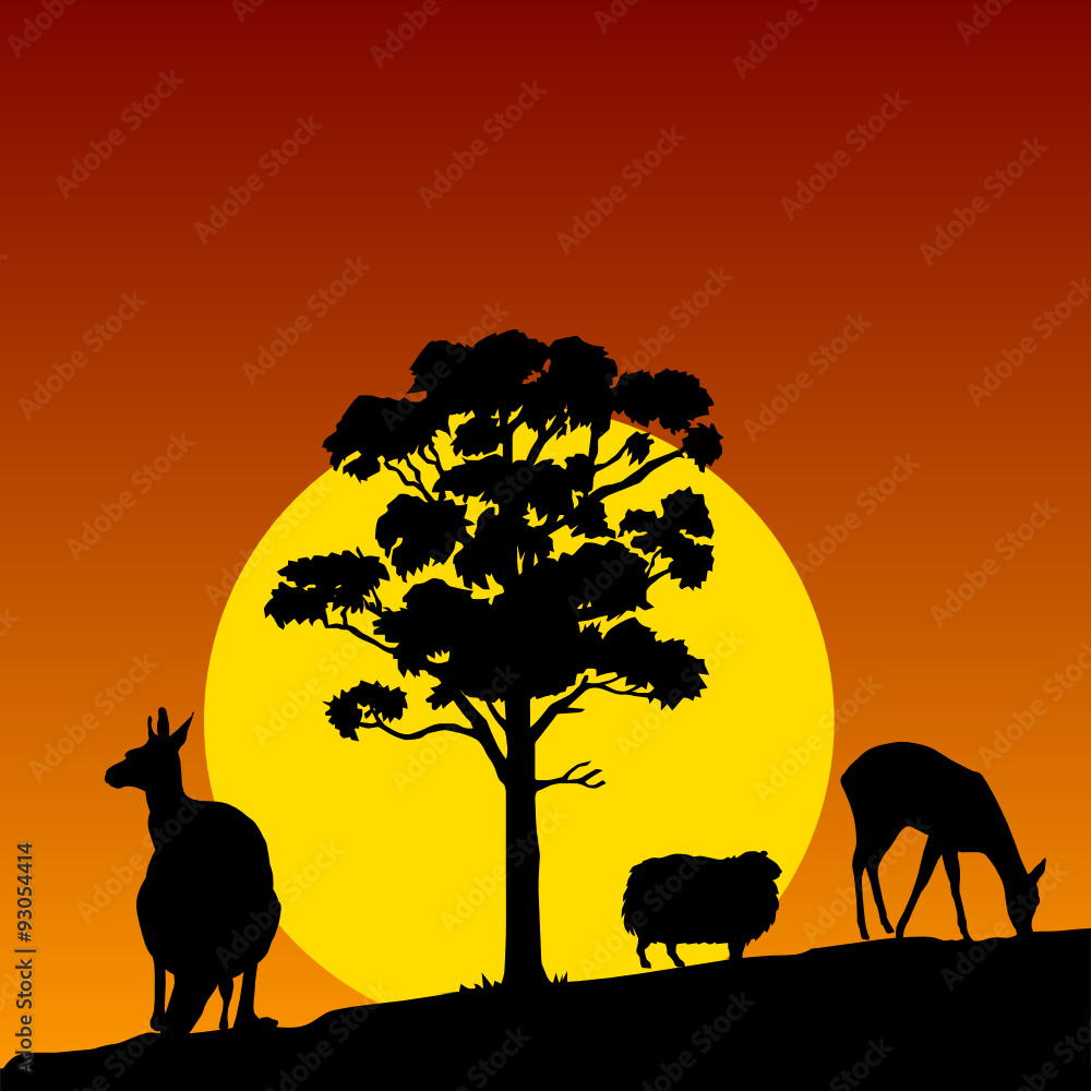animal in the nature color vector