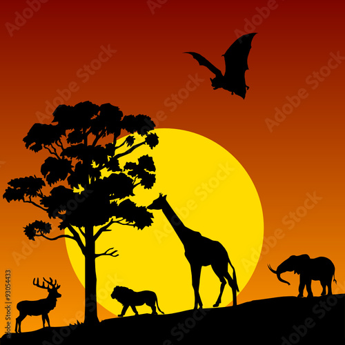 wild animal in nature vector © draganm