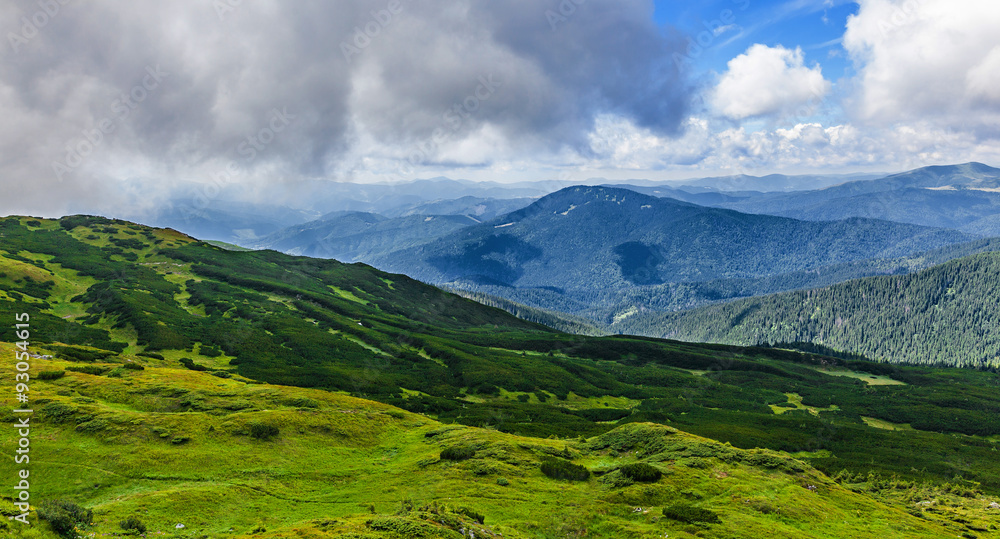 summer landscape