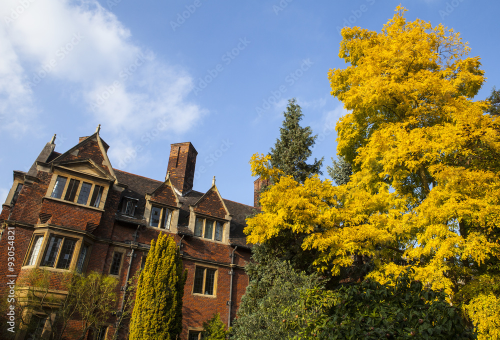 Fototapeta premium Pitt Building in Pembroke College
