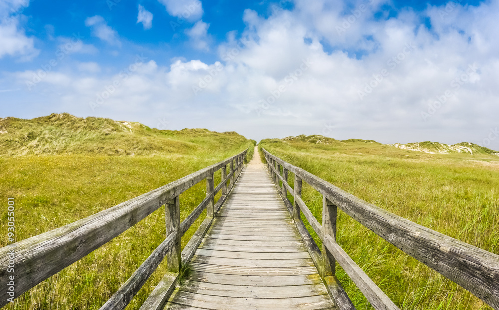 Idyllic wooden path in european nort sea dune beach landscape
