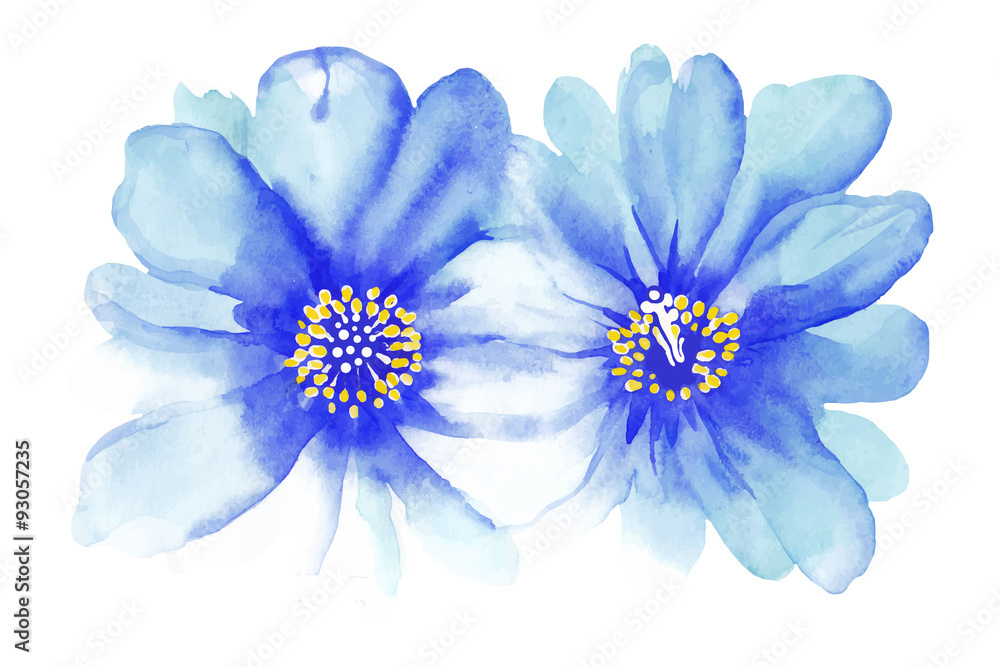 Obraz premium Watercolor blue flowers for your design