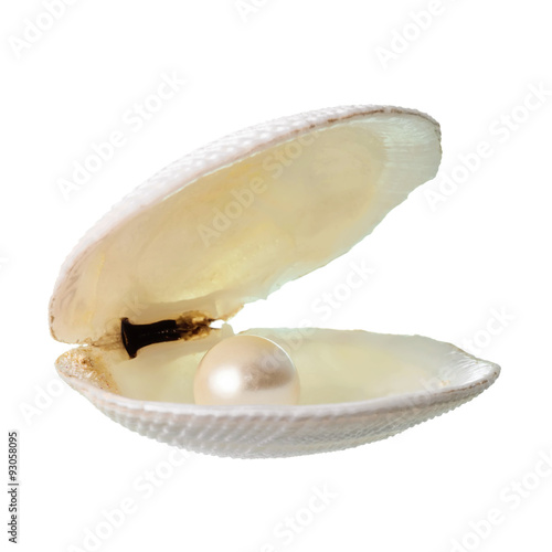 open white cockleshell with pearl is isolated on white backgroun