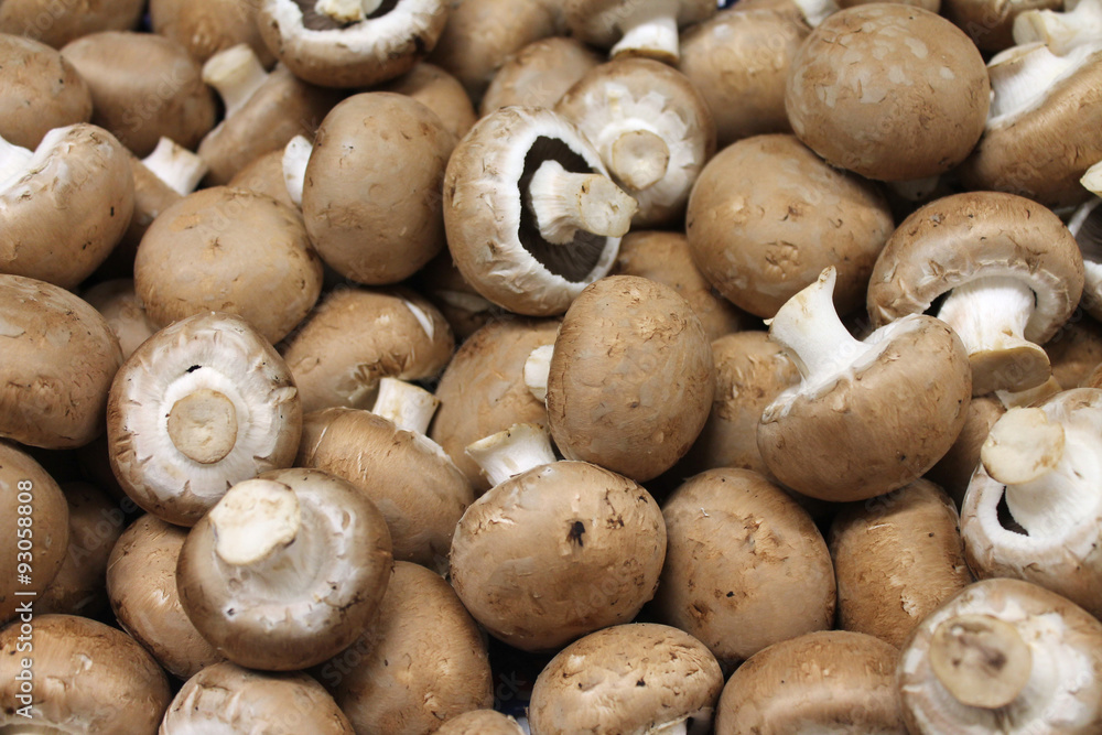 champignons rosés de paris champignons rosés de paris