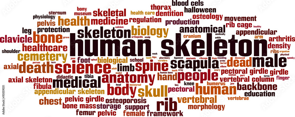 Obraz premium Human skeleton word cloud concept. Vector illustration