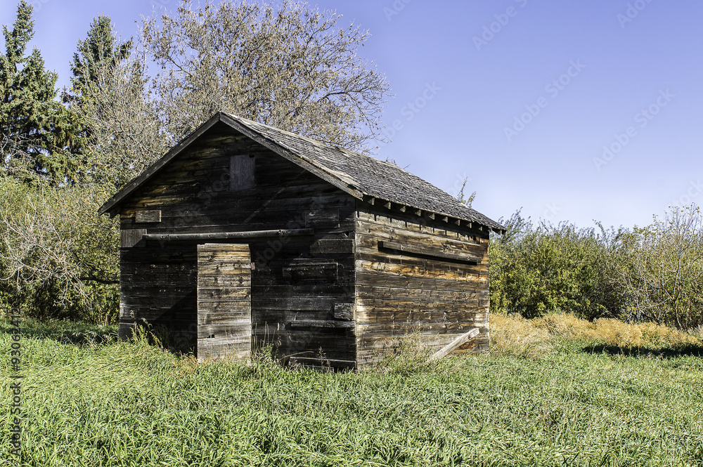 Old Abandoned Chicken Coop - Open Door Old Abandoned Chicken Coop - Open Door