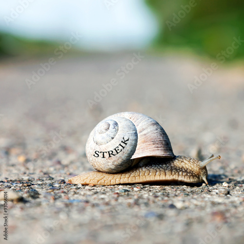 Streik, Schnecke photo