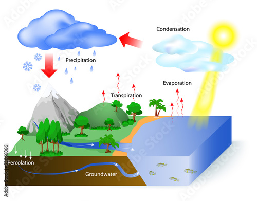 water cycle
