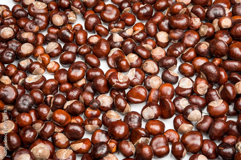 Close-up of chestnuts Close-up of chestnuts