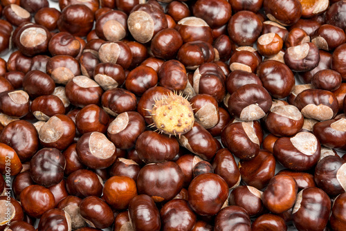 Close-up of chestnuts