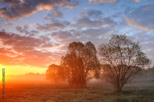 Sunrise on a misty meadow with trees photo