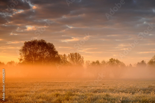 Orange misty sunrise