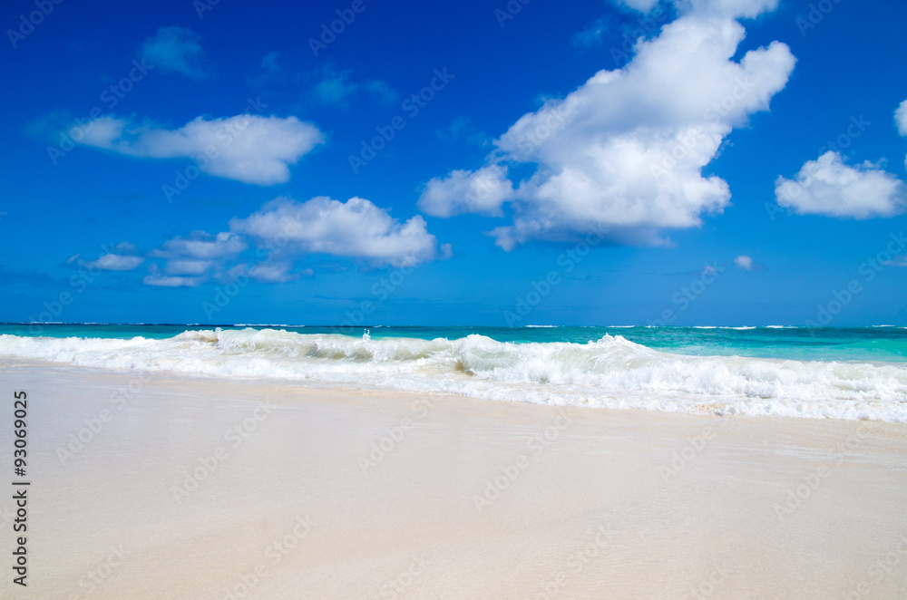  beach and tropical sea