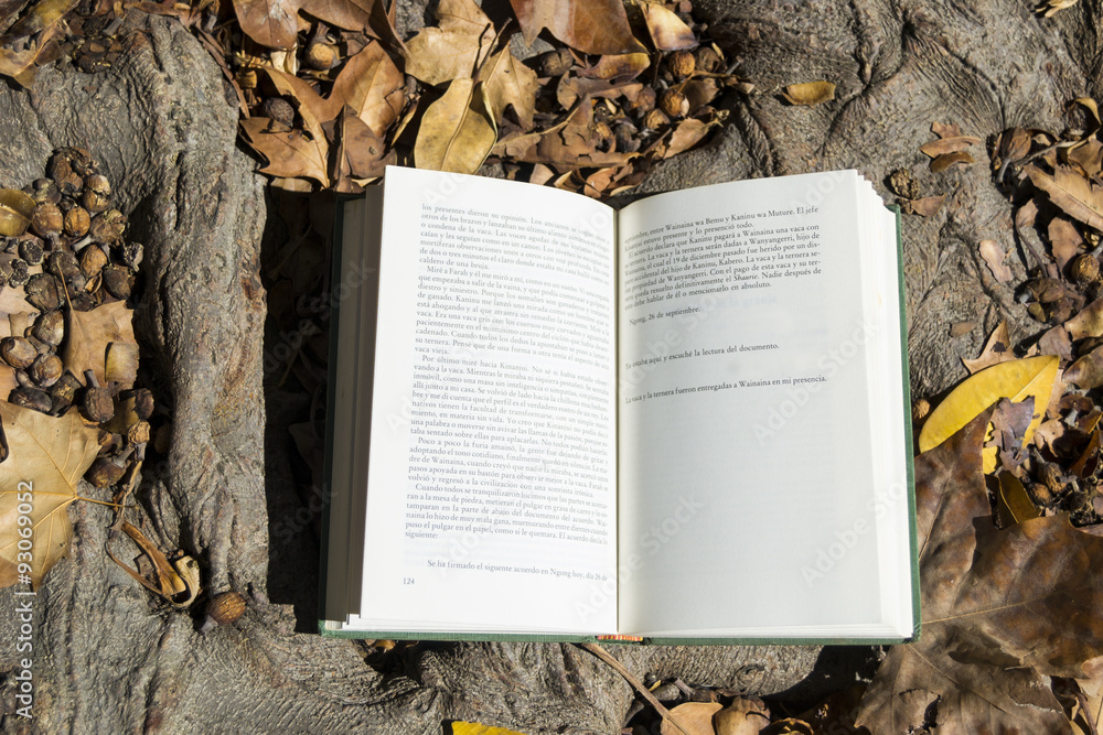 Obraz premium Libro abierto en otoño