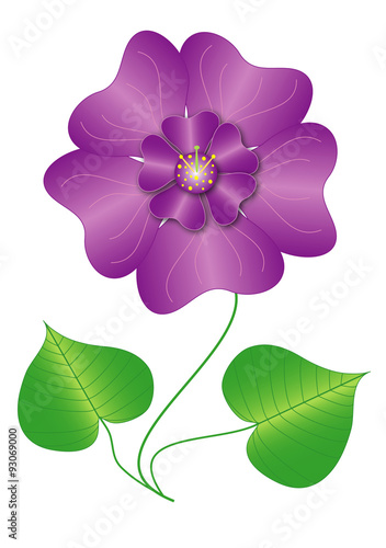 Vector Illustration flower violet fragrance in isolated background