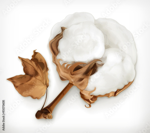 Cotton, vector icon