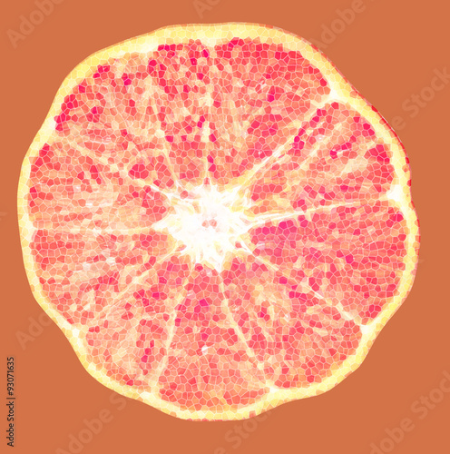 slice of orange fruit . photo