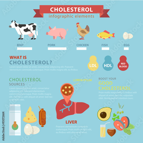Cholesterol sources flat vector infographic: meat ingredients